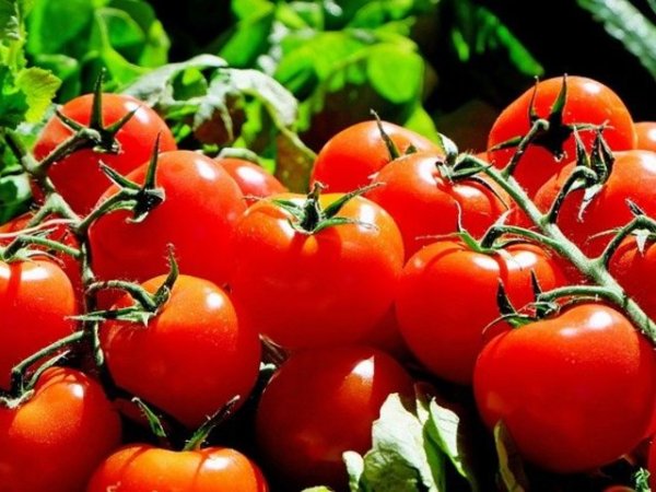 Домати
Една от най-полезните храни за здрава и красива кожа са доматите. Те са богати на антиоксиданта ликопен, който е известен със способността си да подхранва кожата, като повишава нивата на проколаген, като така тя е по-гладка и сияйна за по-дълго време. Снимка: pixabay