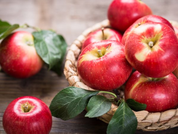 Ябълки
&nbsp;Антиоксидантите, които се съдържат в ябълките, успяват да понижат LDL холестерола или т. нар. лош холестерол. Ценните витамини, които ябълките имат, ги превръщат в една от най-полезните и задължителни храни.
Снимка: istock