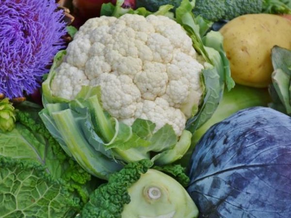 Карфиол
Чудесен зеленчук, с високо съдържание на фибри, витамини от групата В, антиоксиданти. Той е подходящ за диетични режими на хранене, може да намали риска от рак, подобрява и паметта. Снимка: Pixabay